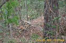 Entergy 141
